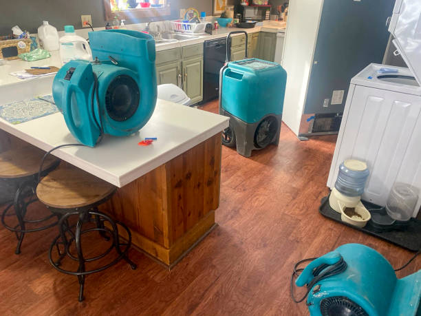 Best Local water damage restoration  in Keene, TX