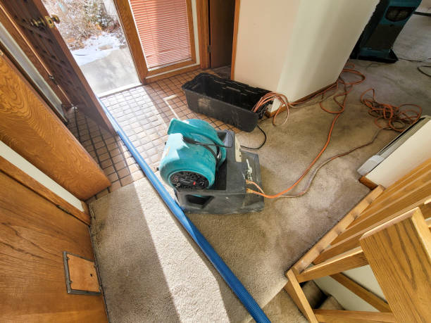 Best Local water damage restoration  in Keene, TX
