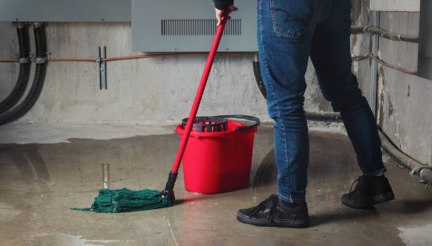 Best Water damage restoration cost  in Keene, TX