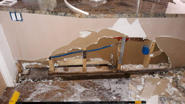 Best Ceiling water damage repair  in Keene, TX