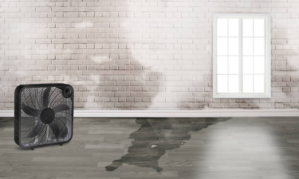 Best Fire Damage Restoration  in Keene, TX