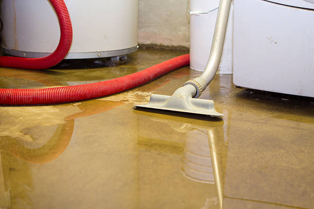 Best Mold removal after water damage  in Keene, TX