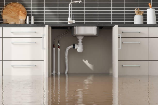 Best Carpet water damage restoration  in Keene, TX