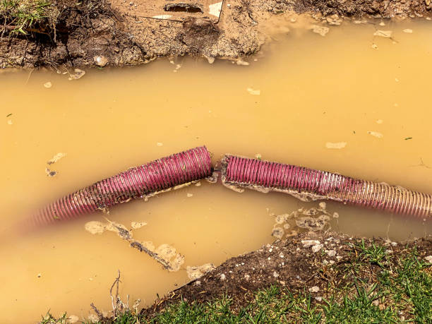 Best Water damage contractors near me  in Keene, TX