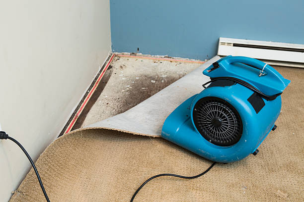 Best Emergency water damage restoration  in Keene, TX